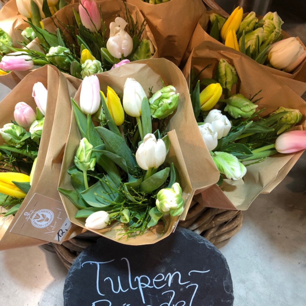 Tulpenbündel