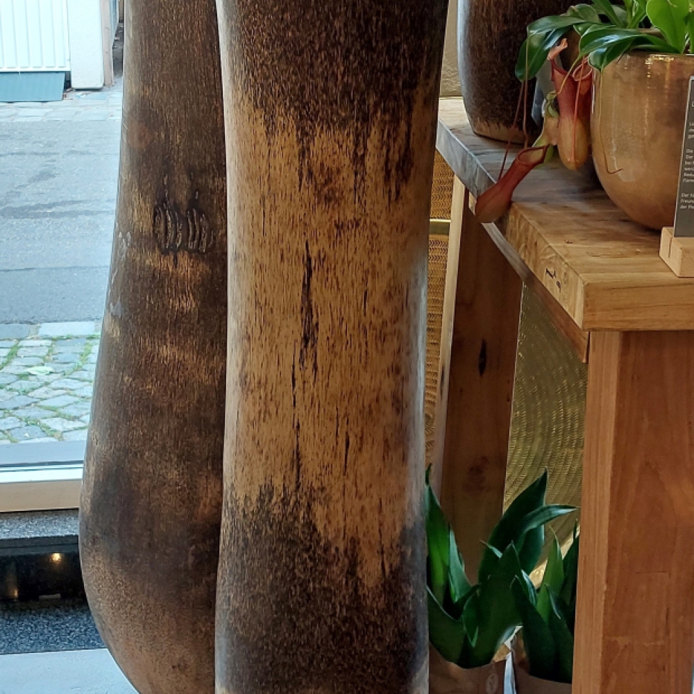 Der Spätsommer…bringt Palmen !!!