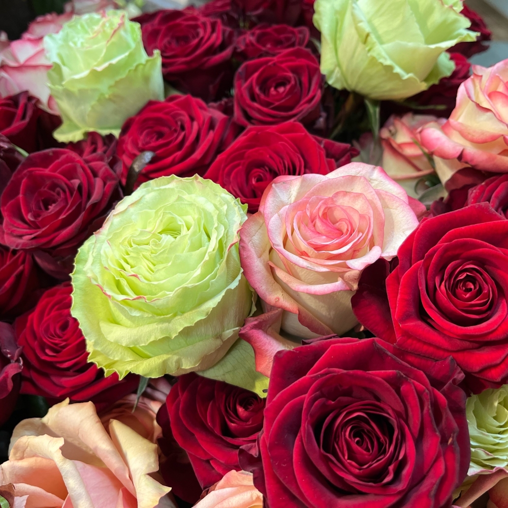 Rosen