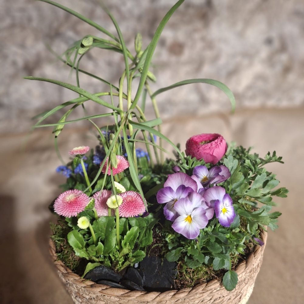 Lass die Osterfreude in Dein Leben einziehen!