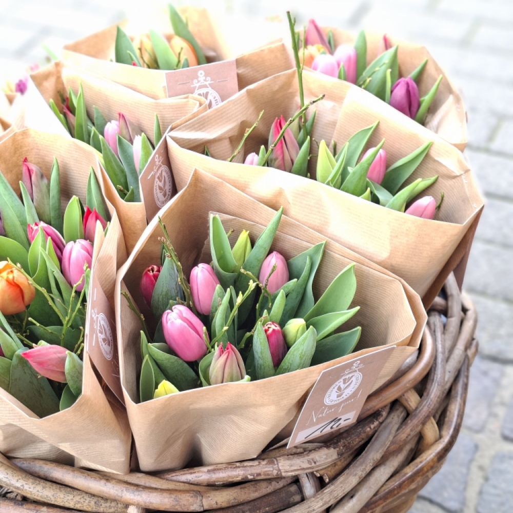 Kennst Du schon 'Natur pur'?