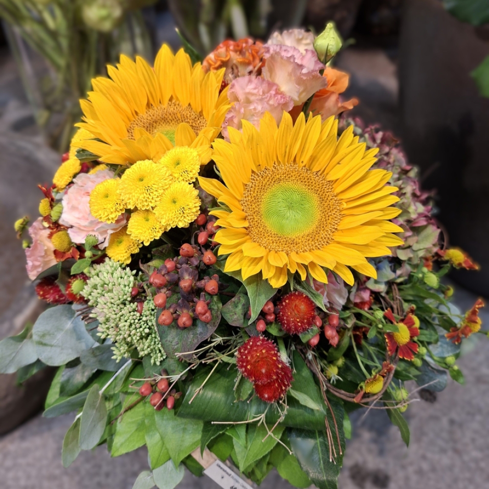 Der Stätsommer hat seinen Reiz!