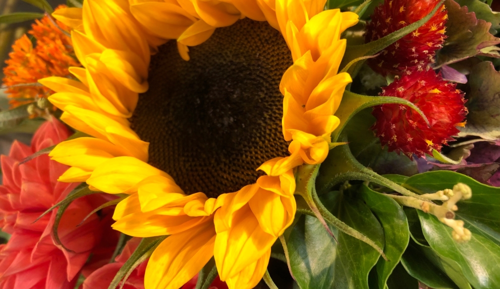 Strauß Sonnenblume