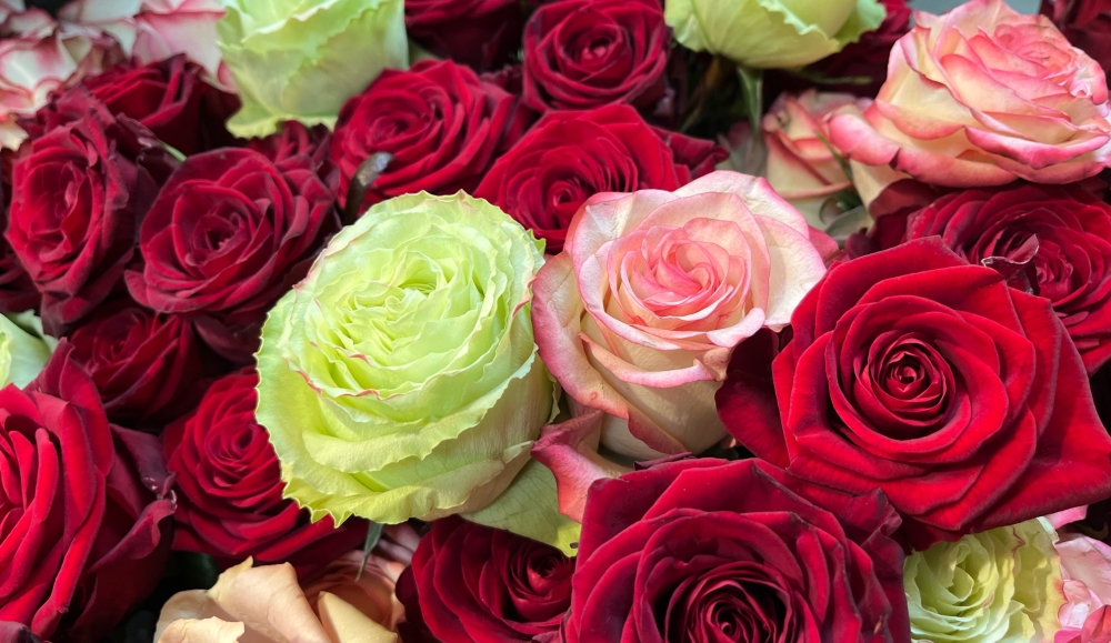 Rosen