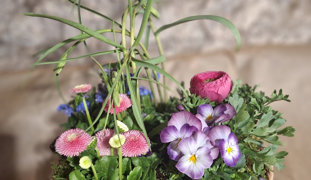 Lass die Osterfreude in Dein Leben einziehen!