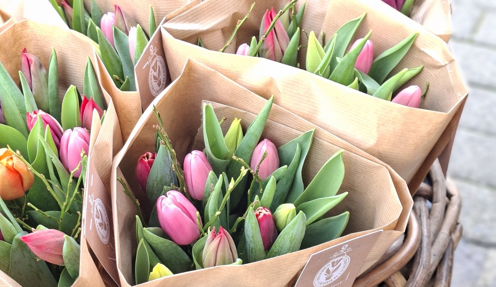 Kennst Du schon 'Natur pur'?