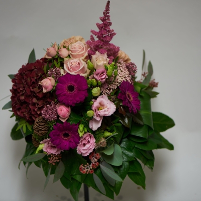 Rosa Farbenpracht